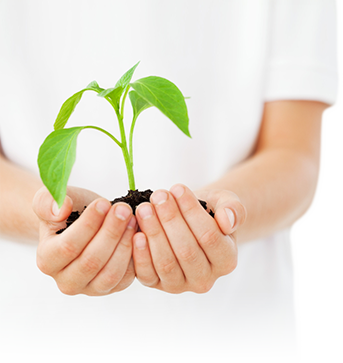 tous nos services tous nos services